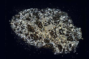 Cross Polarized, S5783