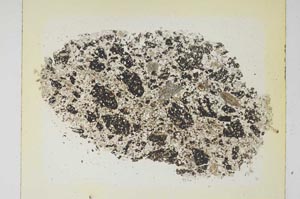 Plane Polarized, S5783