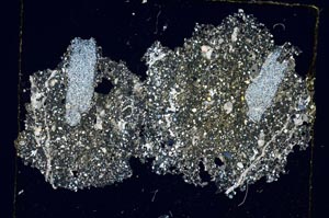 Cross Polarized, S5784