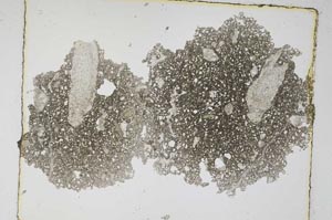 Plane Polarized, S5784