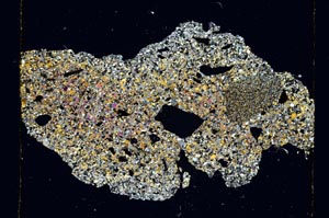 Cross Polarized, S5786