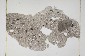 Plane Polarized, S5786