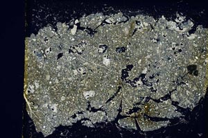 Cross Polarized, S5789