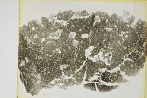 Plane Polarized, S5789