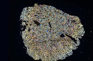 Cross Polarized, S5790