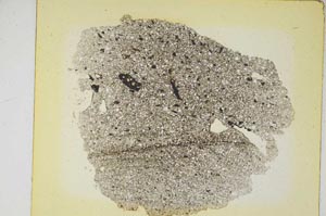 Plane Polarized, S5790