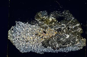 Cross Polarized, S5791