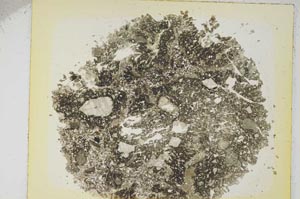 Plane Polarized, S5792