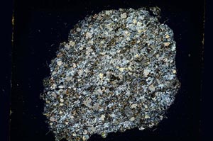 Cross Polarized, S5803