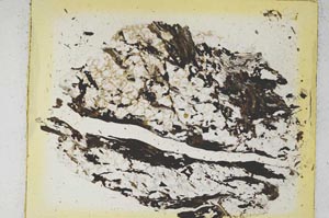 Plane Polarized, S5830