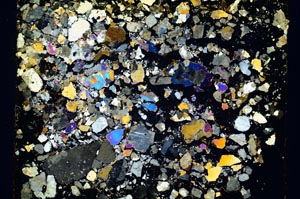 Cross Polarized, S5831