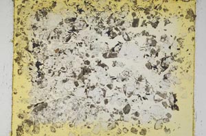 Plane Polarized, S5831