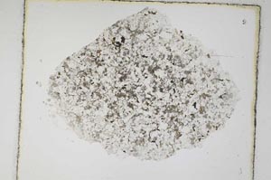 Plane Polarized, S5832