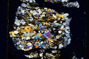 Cross Polarized, S5833