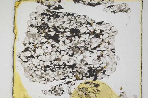 Plane Polarized, S5833