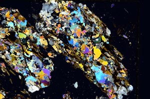 Cross Polarized, S5834