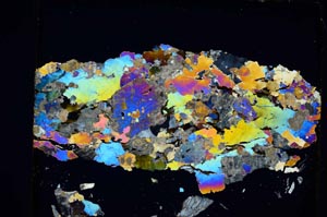 Cross Polarized, S5835