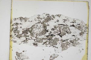 Plane Polarized, S5835