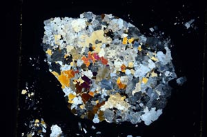 Cross Polarized, S5836