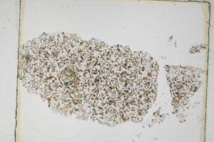 Plane Polarized, S5837