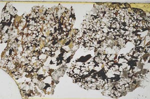 Plane Polarized, S5839/A