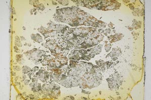 Plane Polarized, S5842
