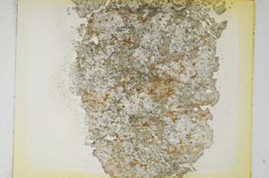 Plane Polarized, S5843