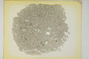 Plane Polarized, S5887