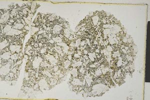 Plane Polarized, S5889