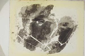 Plane Polarized, S5891