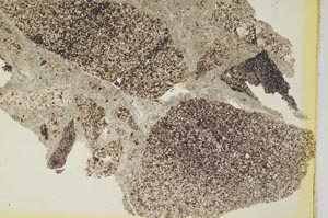 Plane Polarized, S5895