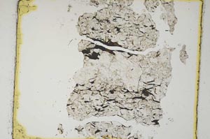 Plane Polarized, S5899
