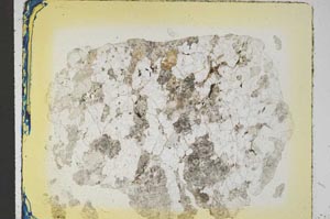 Plane Polarized, S5944