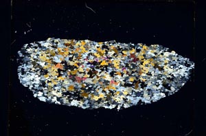 Cross Polarized, S5951