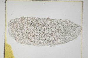 Plane Polarized, S5951