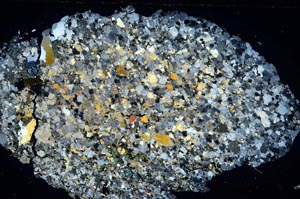 Cross Polarized, S5952