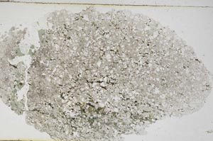 Plane Polarized, S5952