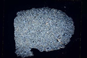 Cross Polarized, S5954