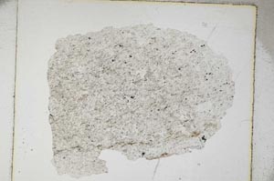 Plane Polarized, S5954