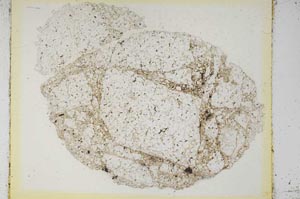 Plane Polarized, S5955