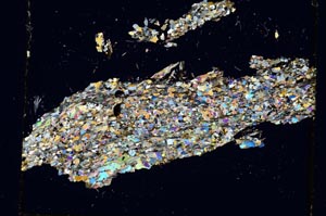 Cross Polarized, S5960