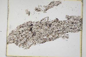 Plane Polarized, S5960