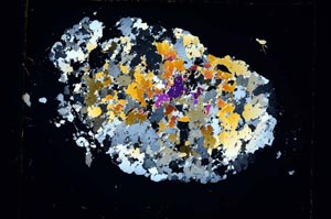 Cross Polarized, S5961