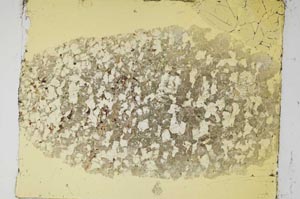 Plane Polarized, S5968
