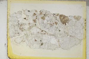 Plane Polarized, S5971