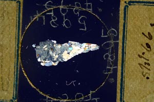 Cross Polarized, S5984/a