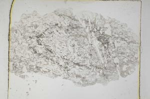 Plane Polarized, S6096