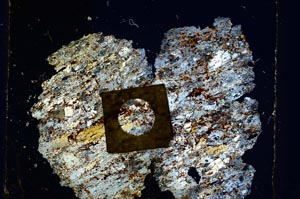 Cross Polarized, S6098