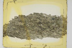 Plane Polarized, S6126