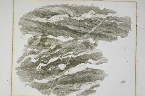 Plane Polarized, S6137